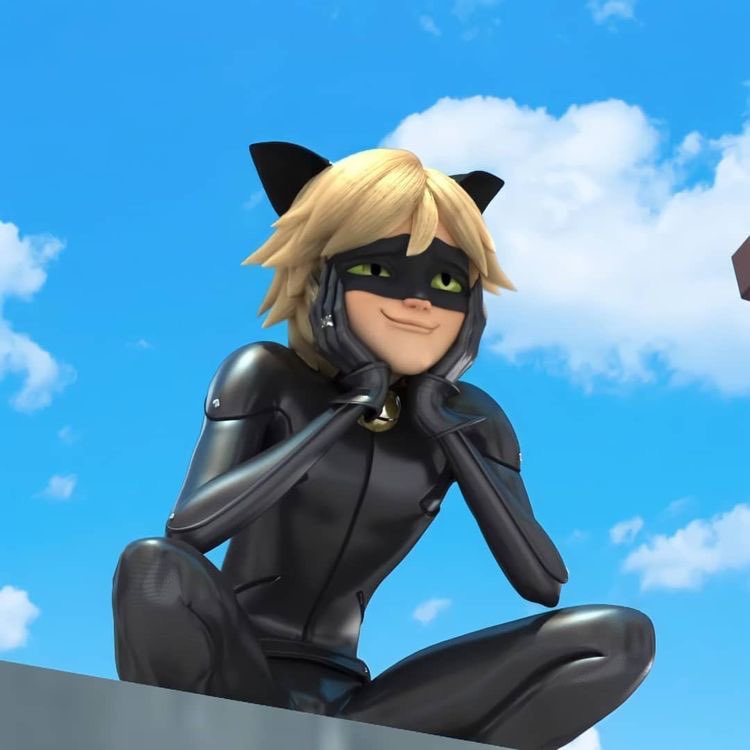 daily chat noir tweet media