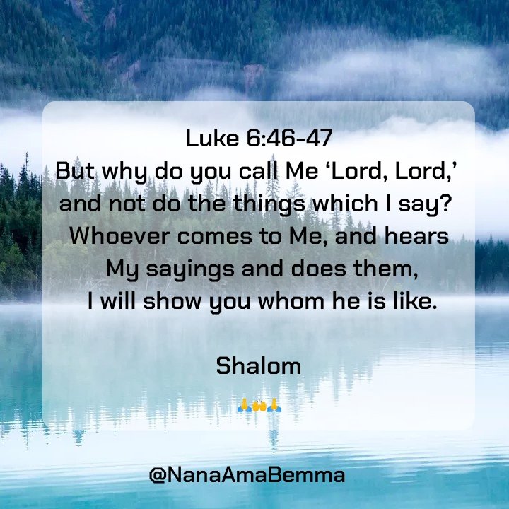 BemmaAma's tweet photo. God In Our evening🙏
Obedience is the key.
#ThankfulSunday
#TrustInTheLord
#nanaamabemma
#ObedienceIsTheKey💚 https://t.co/K4SbBaTARH