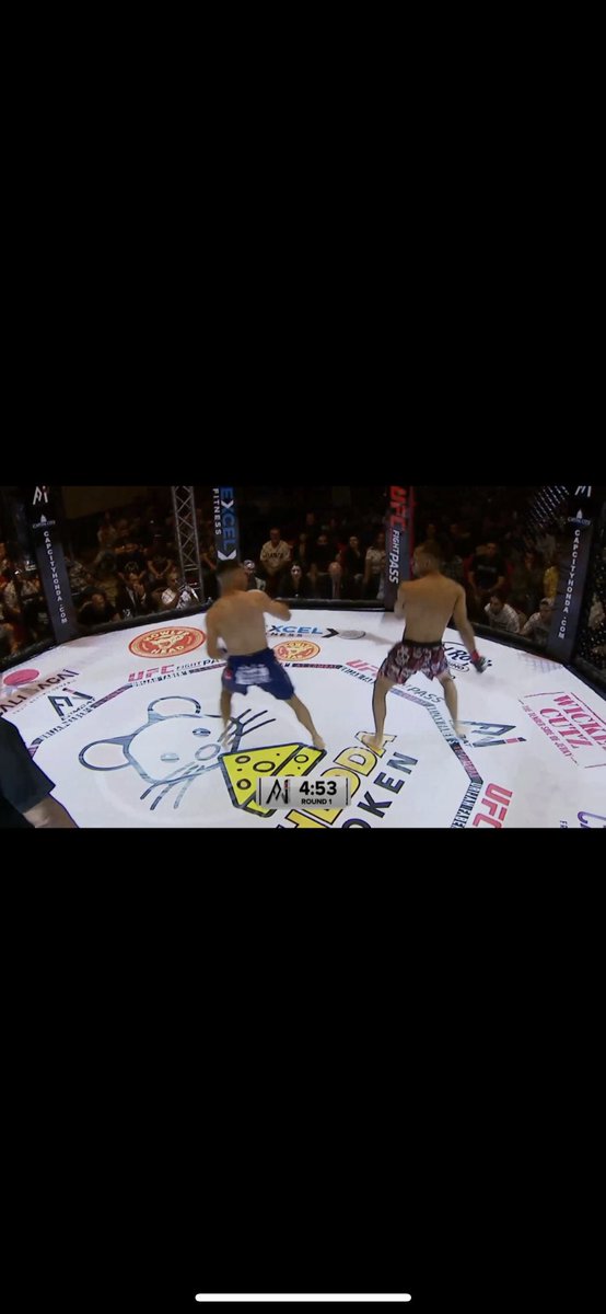 CheddaToken's tweet photo. So sick!! #ufc #a1combat #chedda #cheddatoken $chedda https://t.co/Ub4wdlHR4X