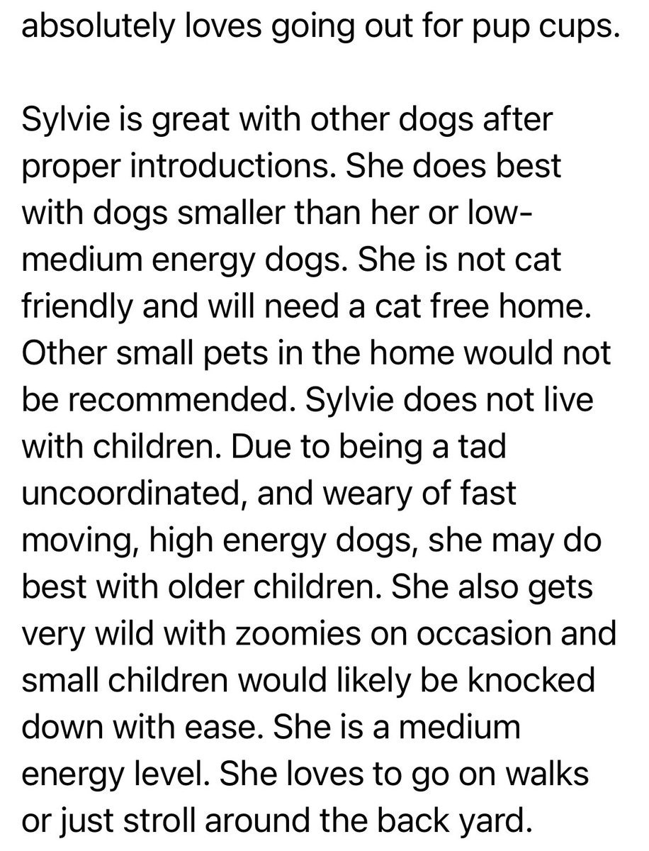 Mutt Misfits tweet media