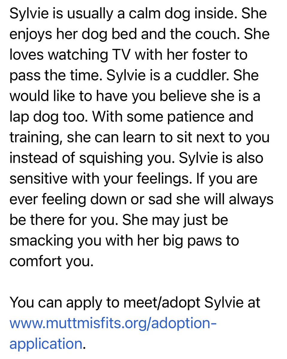 Mutt Misfits tweet media