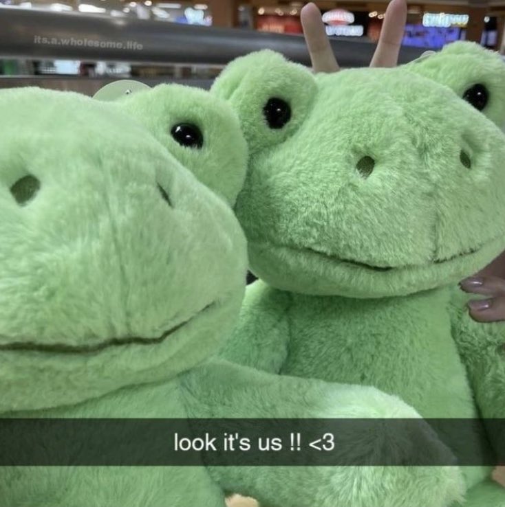 froggo memes on Twitter "https//t.co/OPwKg5mYxO" / Twitter