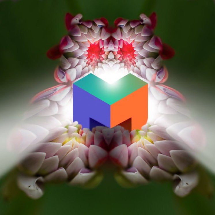 BlockVault tweet media