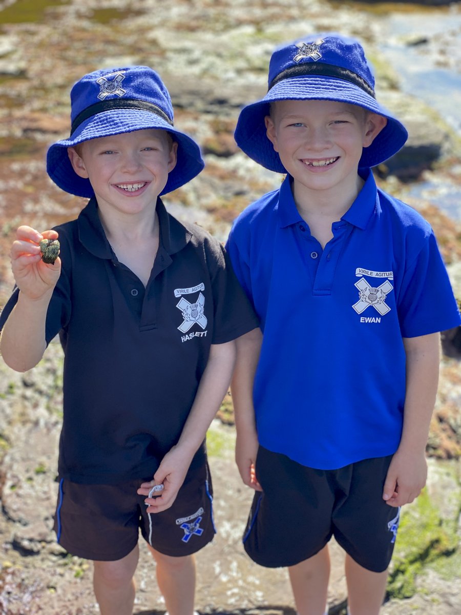 Knox Grammar School tweet media