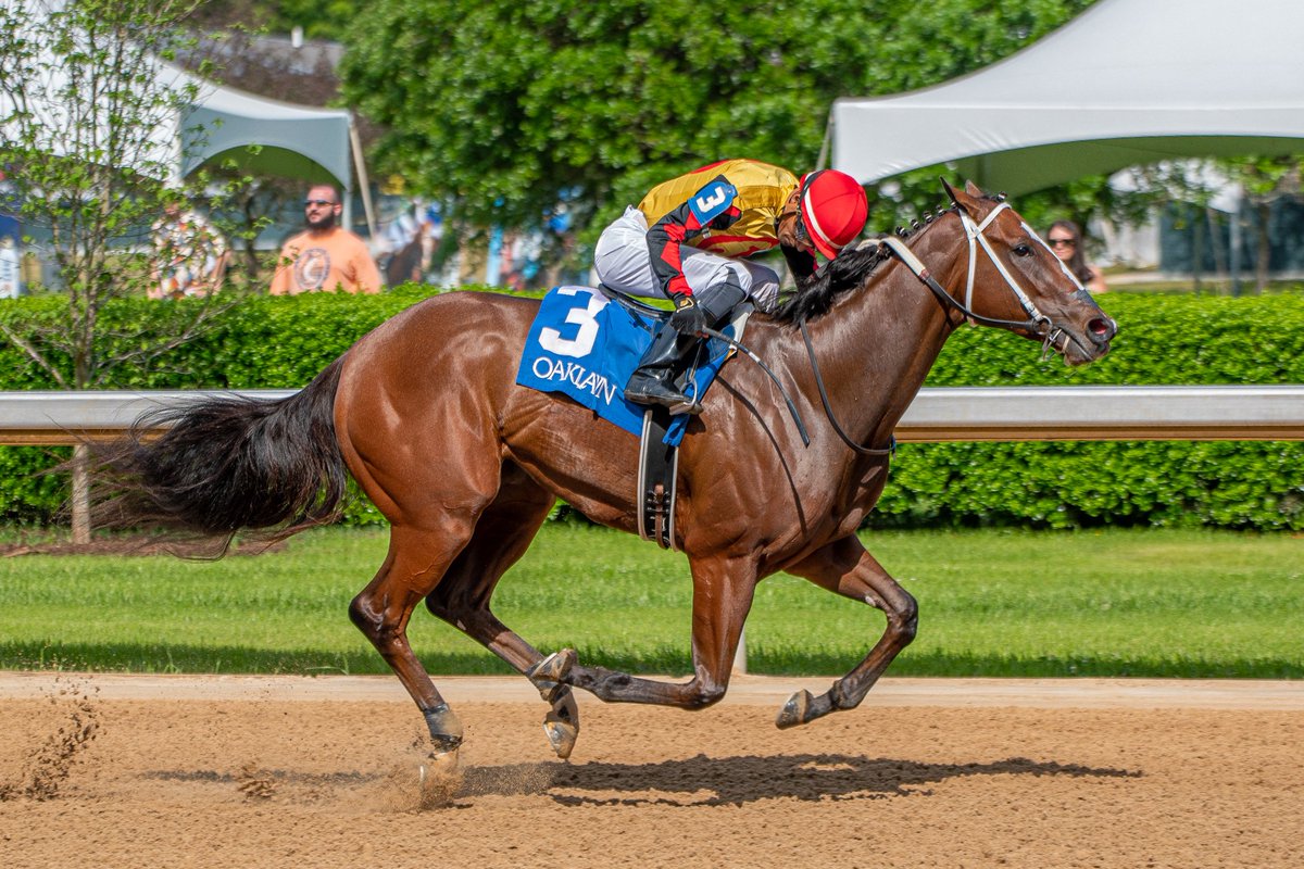 Robert Yates tweet media