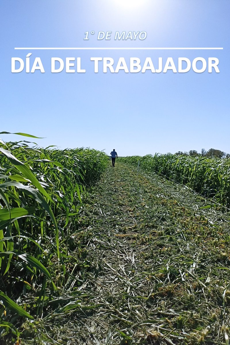 ¡Feliz día para todos!