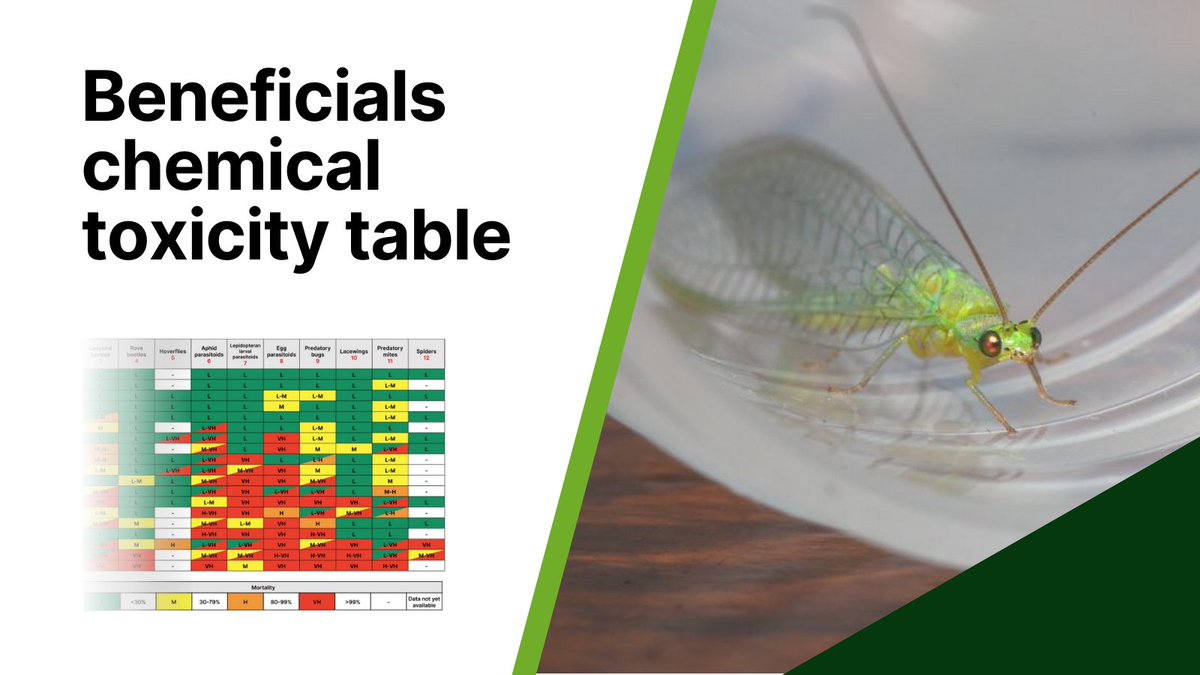 Cesar Australia (@cesaraustralia) on Twitter photo We are excited to announce a new resource in collaboration with <a href="/UniMelb/">University of Melbourne</a> and <a href="/theGRDC/">GRDC</a> that will assist growers and advisers to make informed decisions around the impacts of #insecticides and #miticides used for pest control in grain crops.
NEW RESOURCE: cesaraustralia.com/resources/bene… We are excited to announce a new resource in collaboration with <a href="/UniMelb/">University of Melbourne</a> and <a href="/theGRDC/">GRDC</a> that will assist growers and advisers to make informed decisions around the impacts of #insecticides and #miticides used for pest control in grain crops.
NEW RESOURCE: cesaraustralia.com/resources/bene…