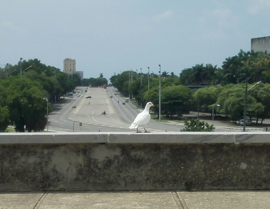 Javier Sanzo Díaz tweet media