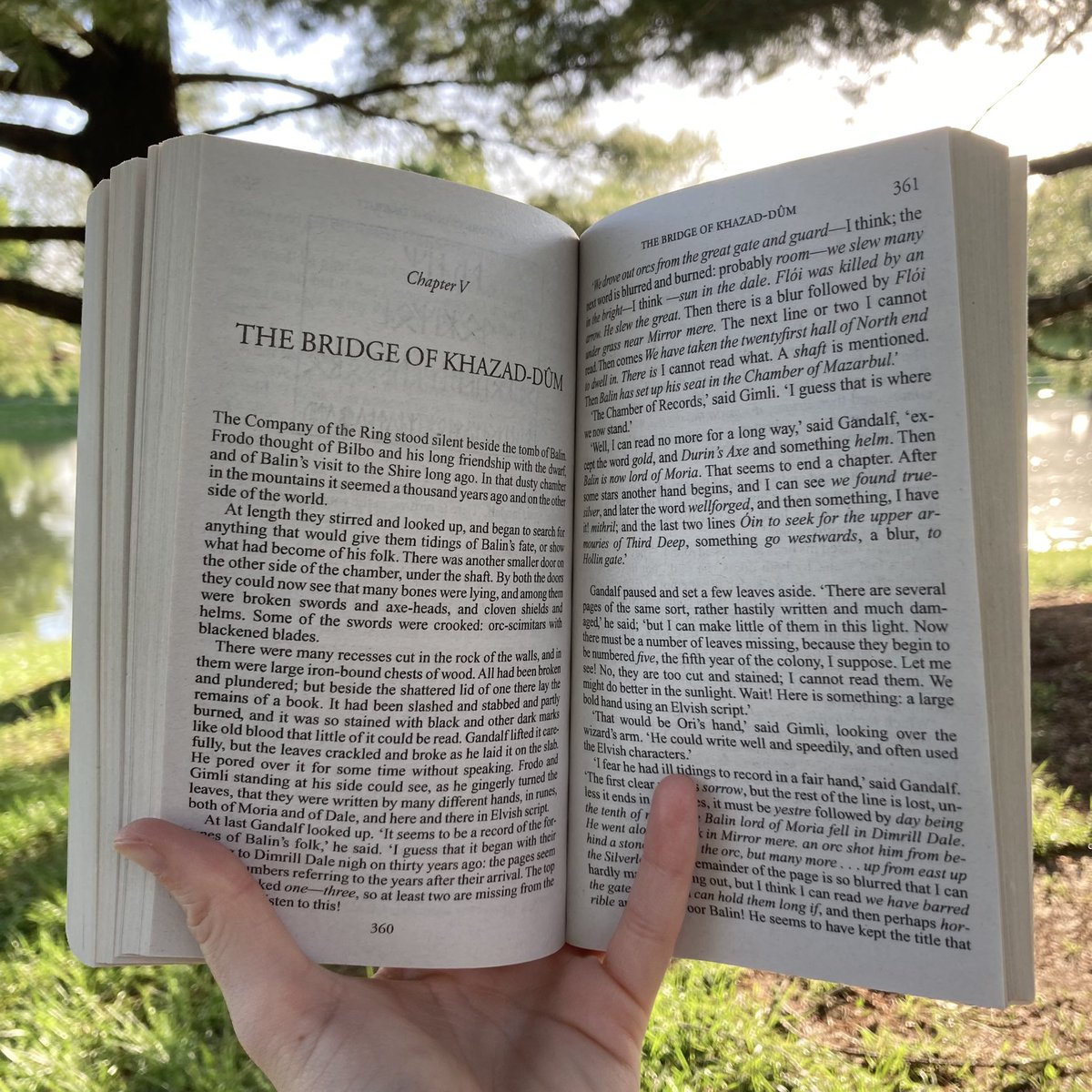 writerraegraham's tweet photo. A perfect Sunday afternoon 💛
#nature #NaturePhotography #LOTR https://t.co/IGunAp58wV