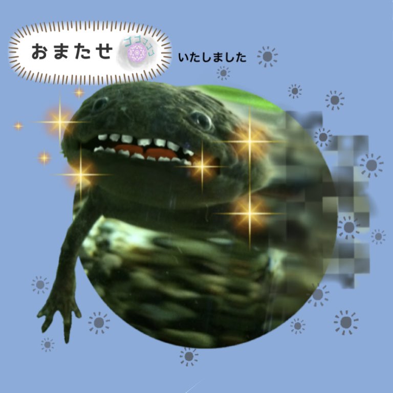 ssabcy's tweet photo. 懲りずにまた作ってみました😄
前よりはスタンプぽくなりまし��
ただ商品とさて並んでるのをみると
��ムネがひどく見にくいですね。。。
次回があれば
その辺も気をつけてみよう、、、と

https://t.co/MGwruEyFQu

＃ウーパールーパー
＃lineスタンプ
＃マダライモリ  
＃ミシシッピニオイガメ https://t.co/Zh3wYze80t