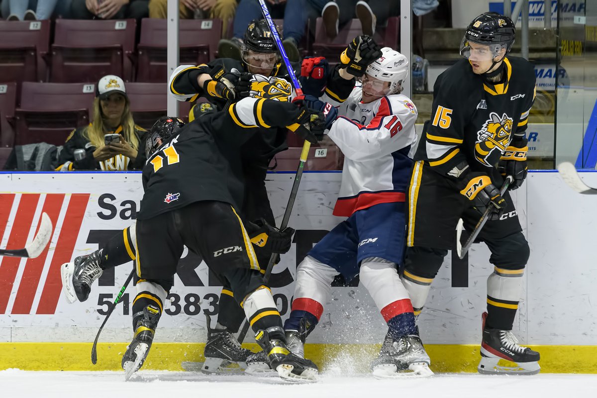 Metcalfe Photography tweet media