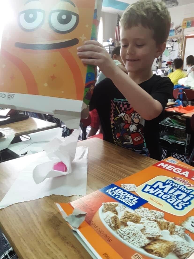 PointNavy's tweet photo. 2nd grade studying the 4 basic needs of all animals: food, shelter, air &amp; water. Ss picked a bird or bunny peep &amp; made a shelter that was appropriate for it. Ss learned a bunny lives in a burrow &amp; a bird lives in a nest, but still has a cover on the top from trees.

#ECSDFL https://t.co/MSIA9xavyT