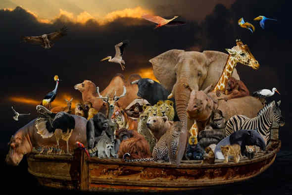 PaesiTropicali's tweet photo. Viaggiare in Europa con i tuoi animali. https://t.co/kTZz9LzQ9Y via @fainformazione #cani #gatti #furetti #europa #eu #passaporto #veterinario #confine #viaggiare #turismo #Animalitos https://t.co/rCvzQl3BrI