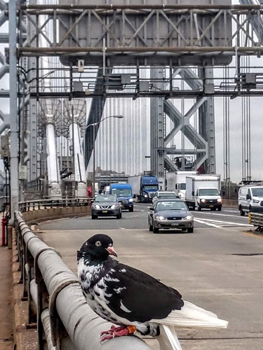 coachSipe tweet media