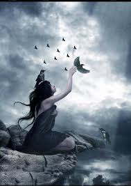 Sarah@@## tweet media