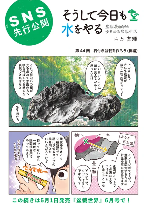 【盆栽世界6月号予告】樹と共に暮らす生活を提案する盆栽専門誌『盆栽世界』最新号発売中!今回の #水やる は自作石付き盆栽の後編。針金はアロンアルファでもくっつくのか…!?本誌メイン特集は「初夏の必須手入れ丸わかり!」。Twitter界隈で人気の超ミニ特集もあるよー。 #盆栽 #bonsai 