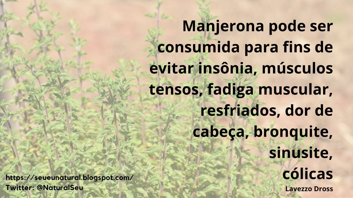 #natural #saudável #saúde #metabolismo #nutrientes #boasbacterias #sernatural #naturalidade #contatocomanatureza #digestivo #remedionatural #manjerona #insônia #alimentos #músculos #fadiga #dor #resfriado #ervasaromáticas #saldeervas #bronquite #cólica #dordecabeça #LavezzoDross