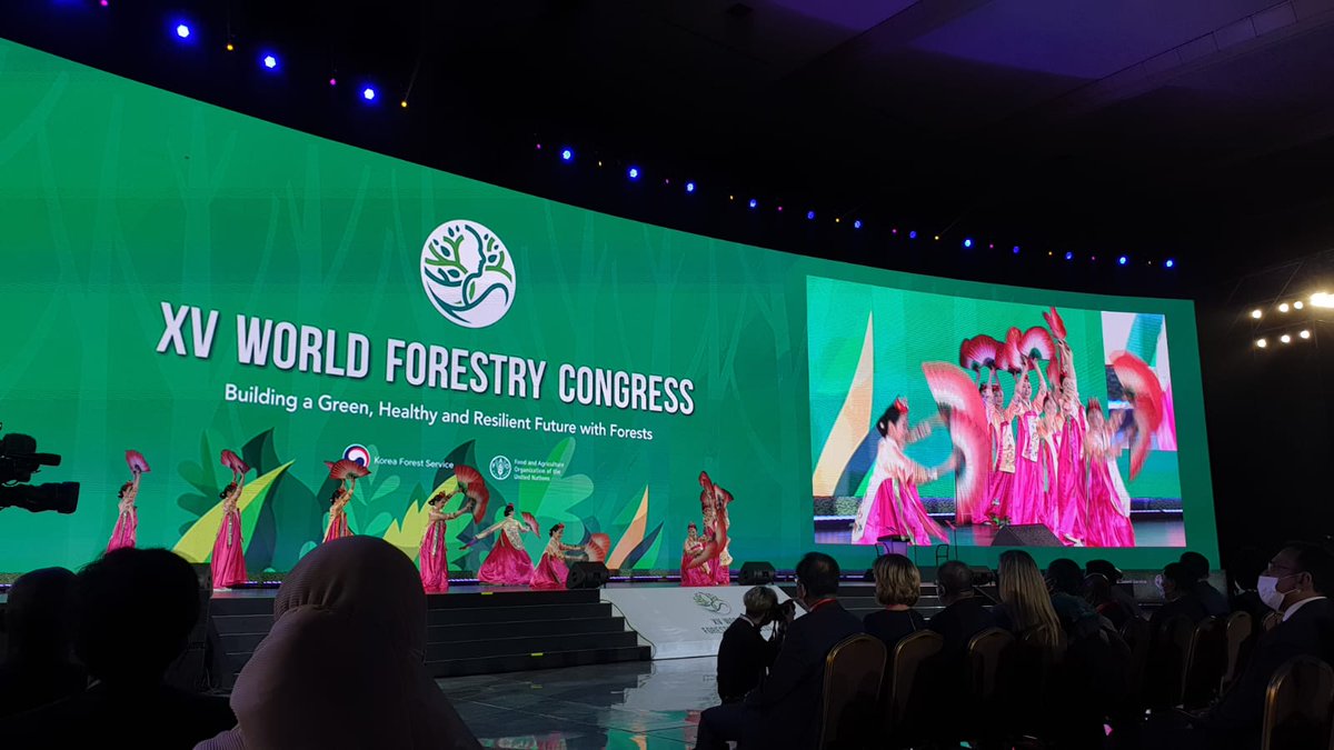 Beautiful Korean Fan dance for the delegates during the WFC opening ceremony #wfckorea <a href="/WFCKorea/">WFCKorea</a>