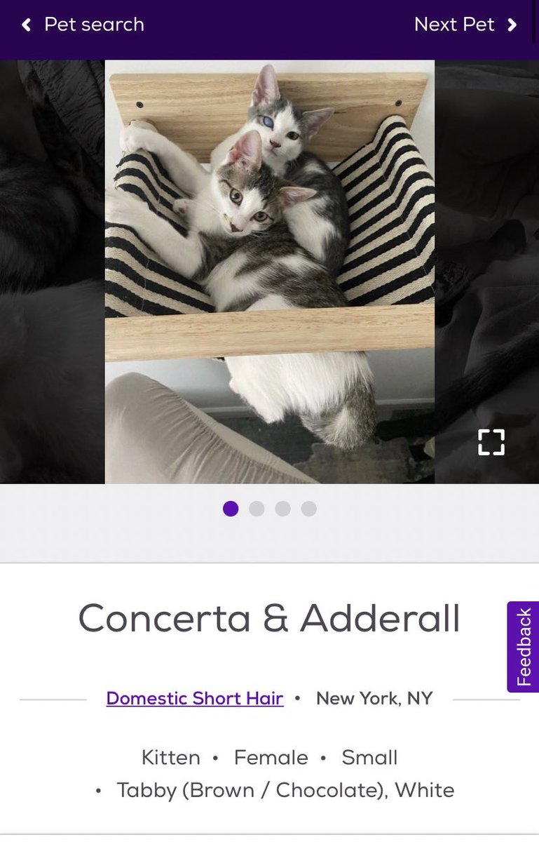 gearing up for monday