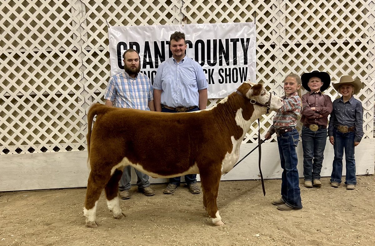 mrborn0437's tweet image. 3rd overall for the Boxwell family! Way to start off the jackpot season! Thanks to Jess Shirley for placing this steer! Congrats to all involved. Lot 11 from the ⁦@pwroftheplains⁩ 2022!