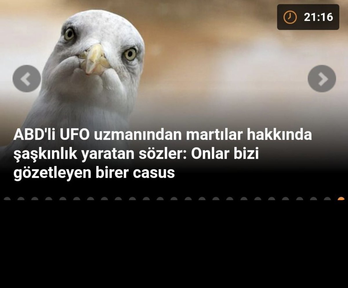 OgunAlibas's tweet photo. Bana sorsanız söylerdim aq https://t.co/OLT7fZC1zG