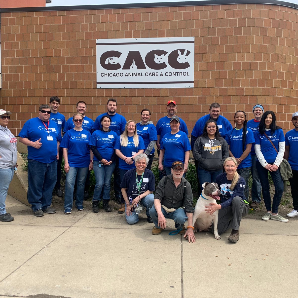 Safe Humane Chicago tweet media