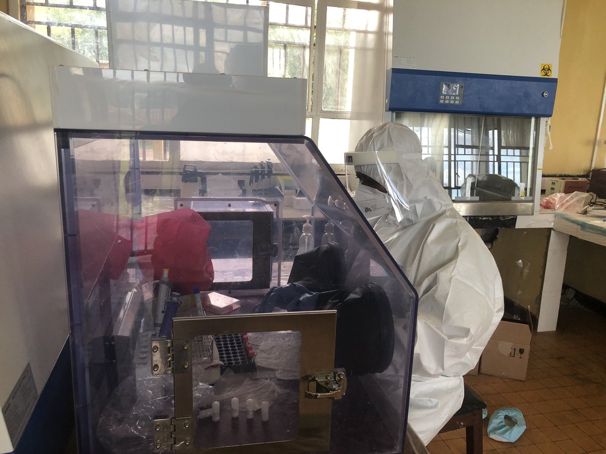 jcmakson's tweet photo. It’s always a honor to serve our beloved country #DRC implementing field #NGS in #Mbandaka with @nanopore #MK1c to support #14thEVDoutbreak @VysnovaPartners @gerrymakaya @ClaudeMaki1 @SwissIonChannel @MTamfum @JoyLuzingu @OrpheeTamba @Bahati_Sha @PatrickMuyaya #BendeleLikolo tjrs https://t.co/bwY6Iznx0B