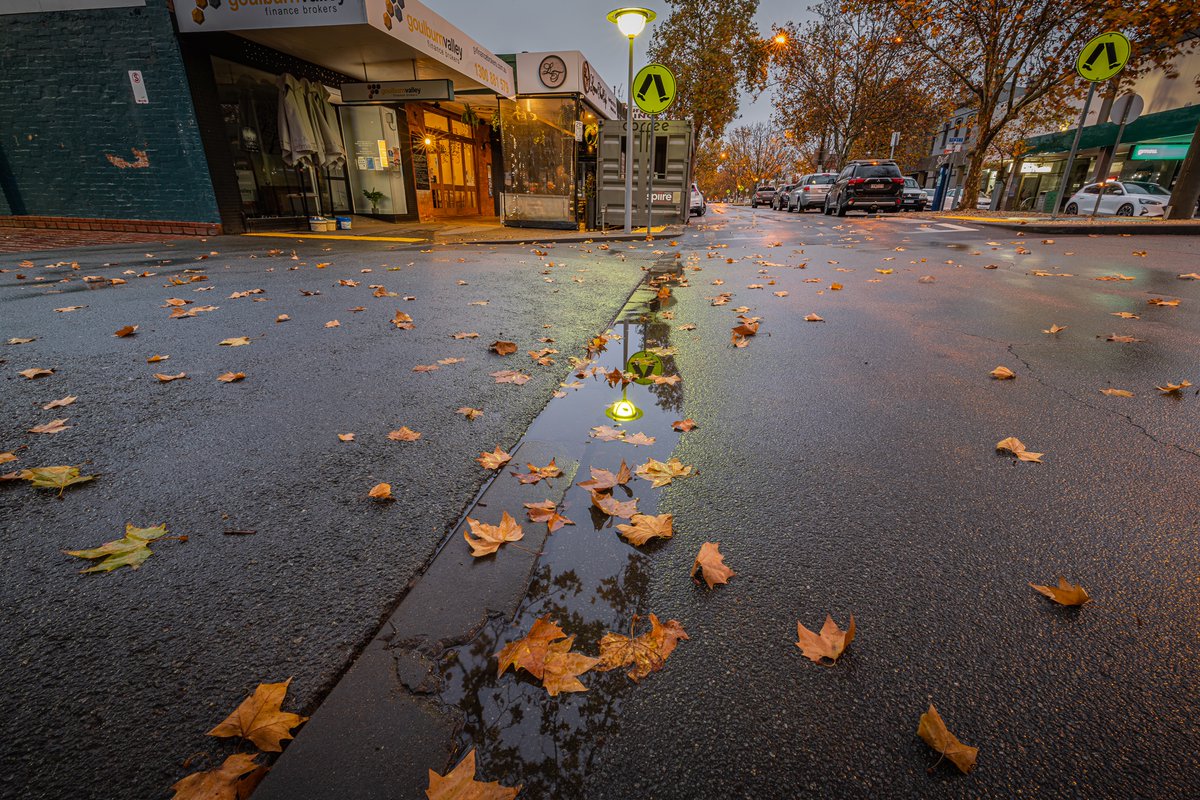 Damian Drum tweet media