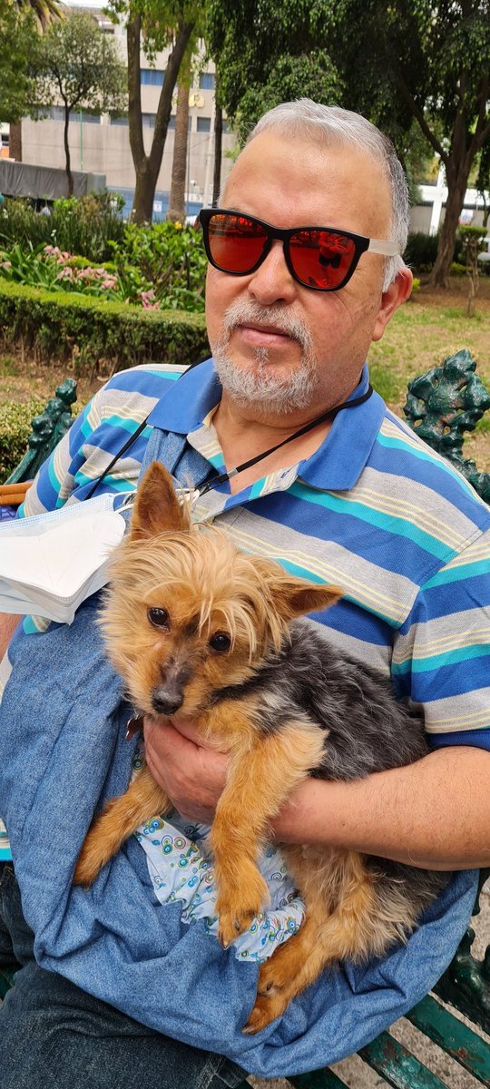 syriacus's tweet photo. #sundayvibes #SundayFunday #YORKSHIRE #yorkshireworld #petlife #petwoeld #perrijos Camila de mi amor, paseo, #sundaypark #doglove https://t.co/Ga8fUFMYJr