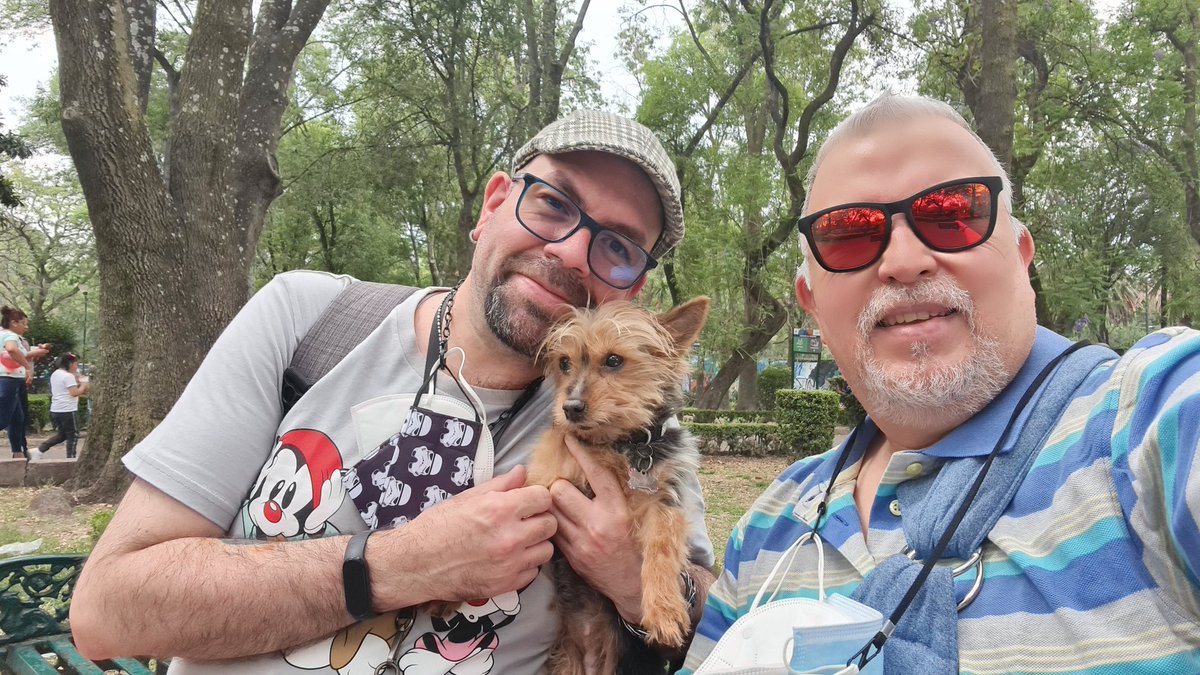 syriacus's tweet photo. #sundayvibes #SundayFunday #YORKSHIRE #yorkshireworld #petlife #petwoeld #perrijos Camila de mi amor, paseo, #sundaypark #doglove https://t.co/Ga8fUFMYJr