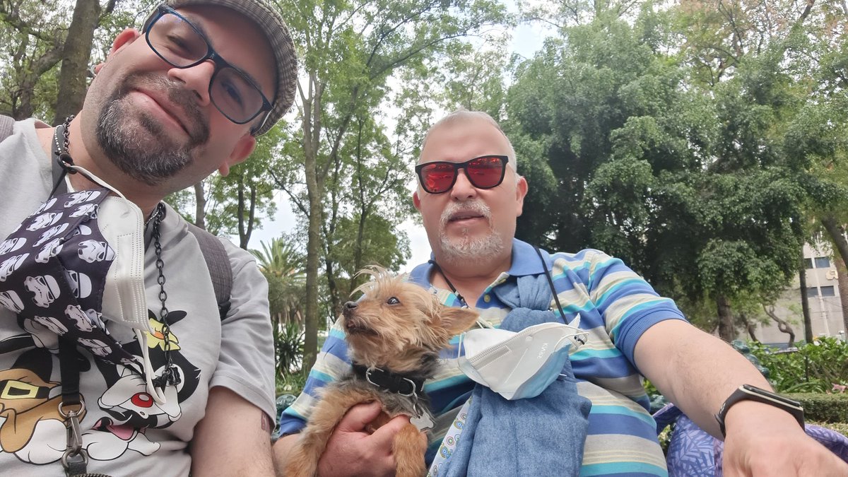 syriacus's tweet photo. #sundayvibes #SundayFunday #YORKSHIRE #yorkshireworld #petlife #petwoeld #perrijos Camila de mi amor, paseo, #sundaypark #doglove https://t.co/Ga8fUFMYJr