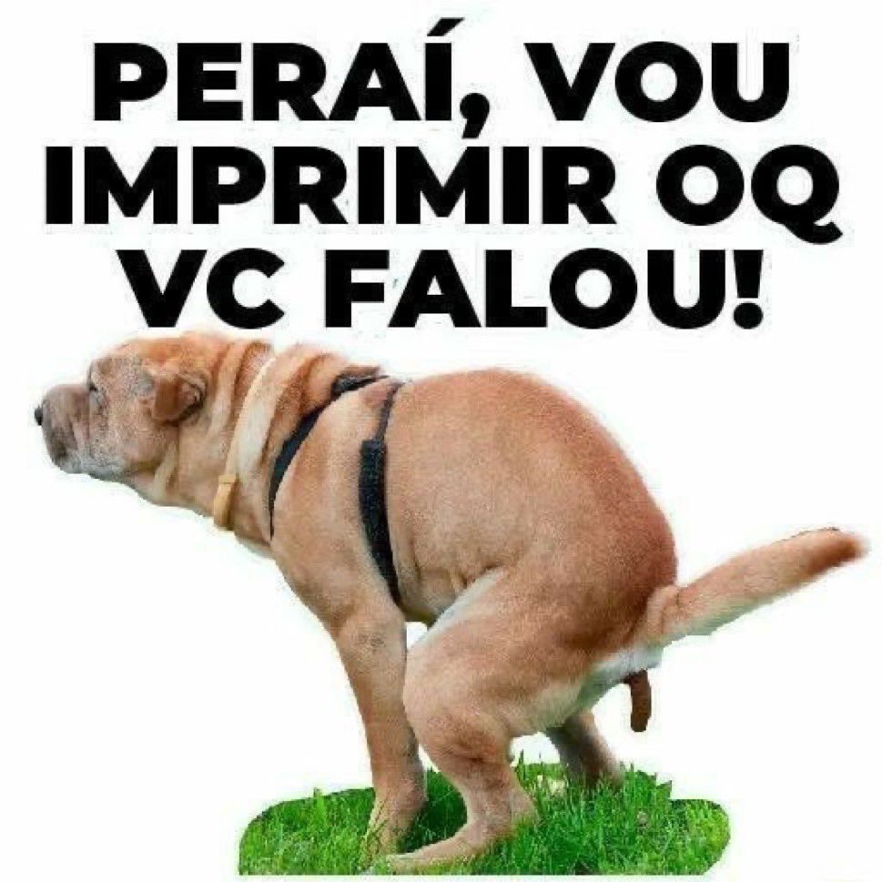 Alex13733363's tweet photo. @BlogdoNoblat https://t.co/Y7hfuhEIIM