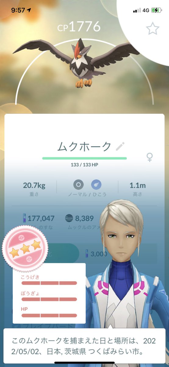 ムクホーク Twitter Search Twitter