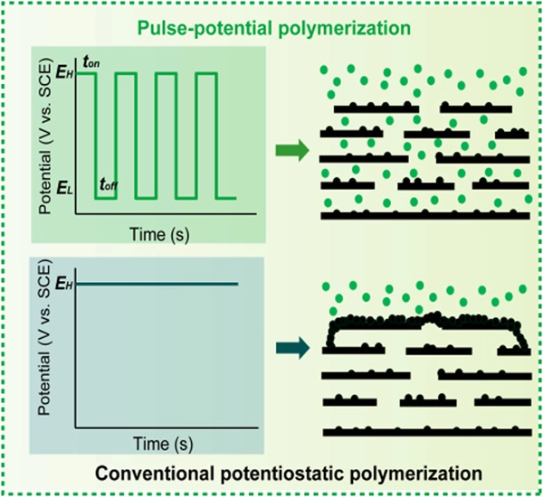 SmartMat2's tweet photo. Don't miss the latest Article about Pulse‐potential #electrochemistry to boost real‐life application of #pseudocapacitive dual‐doped #polypyrrole. By Tianyi Ma @RMIT @Wiley_Chemistry @WileyPolymers
Read it: https://t.co/o7Qx8jnzXx https://t.co/oo97ic6IlM