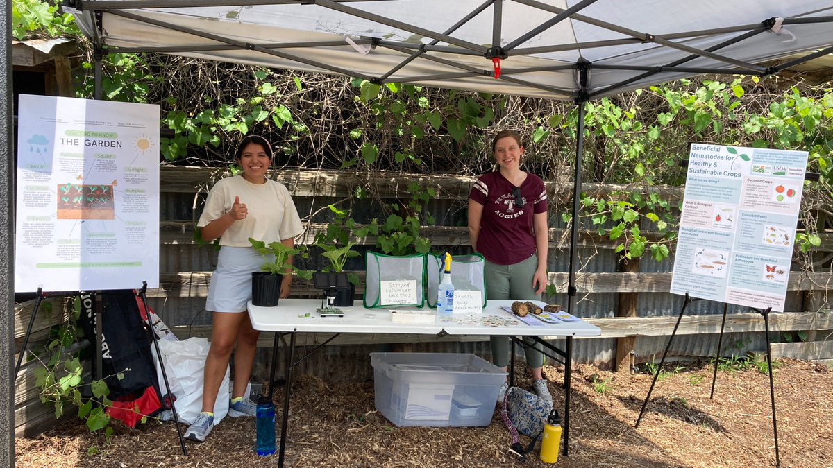Today the Helms lab represented <a href="/tamuentomology/">Texas A&M Entomology</a> and @tamueeb at the <a href="/RoninTX_/">Ronin Farm & Restaurant</a> Spring Farm Day! Thank you to everyone who stopped by to learn about beneficial nematodes and sustainable agriculture. <a href="/marmolejoento/">Laura Marmolejo</a> <a href="/EntoThompson/">Morgan Thompson (@entothompson.bsky.social)</a> <a href="/JohnGrunseich/">John</a>