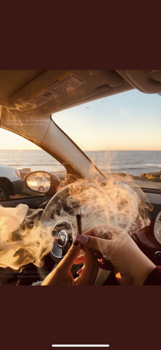 “You smoke?” That’s the start of friendship. retweet and like if you ever made any friends like that #CannabisCommunity #Mmemberville #420community