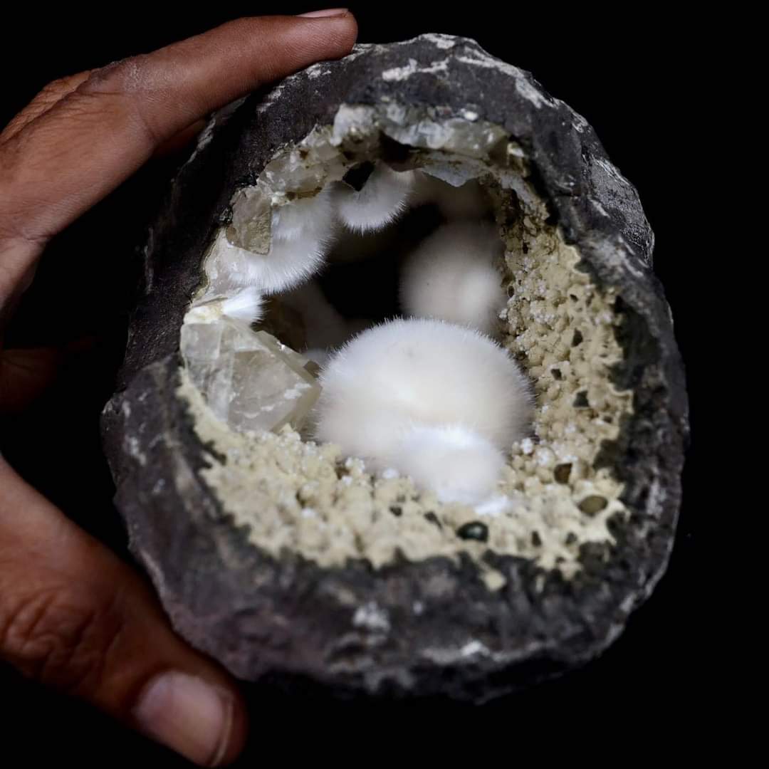 Outletminero's tweet photo. Les mostramos está fantástica🤩 #Geoda llena de rara y esponjosa #Botryoidal 😨, con cristales de 💎 calcita, perteneciente al país de la #India 🇮🇳
📸SuperbMinerals
#Crystals #Minerals #Gems https://t.co/DZSifBOhLz