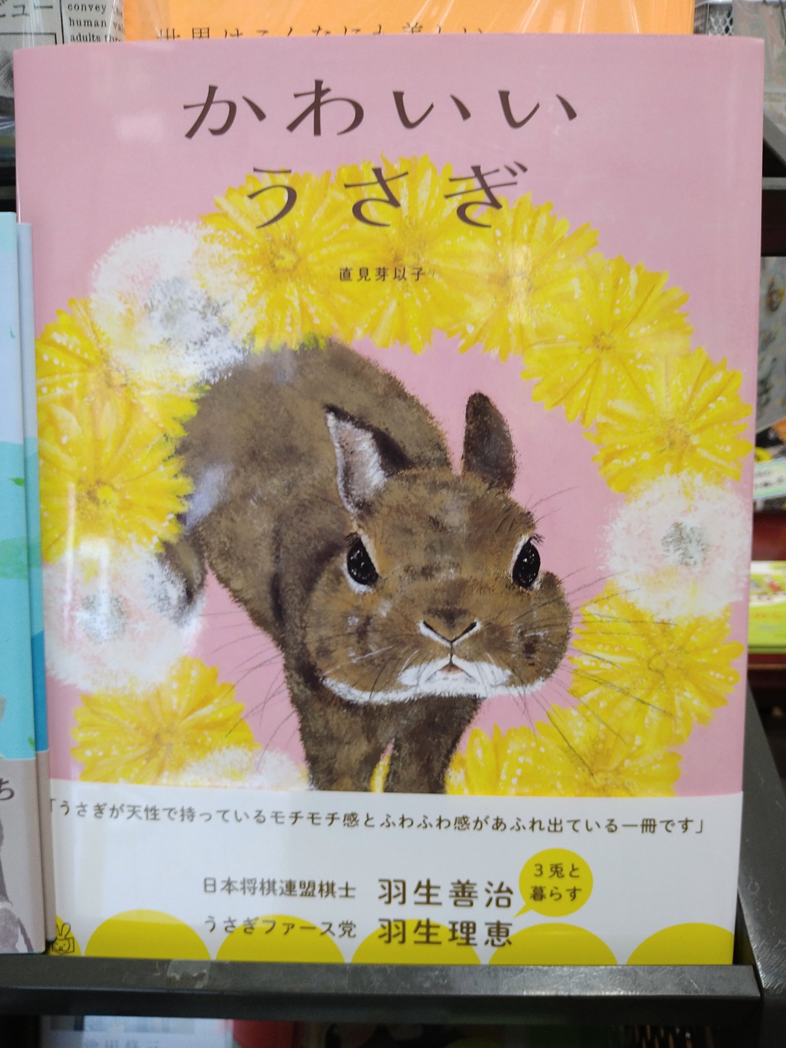 絵本日和の本棚 文光堂 千葉県 佐倉市 この機会に うさぎさん絵本大集合 フェア 開催します O 色々な うさぎさん絵本に会いに来てくださいね うさぎさん達の中で存在感を放つのは 今月のイチ推し パネル展開催中のはらぺこめがねさん