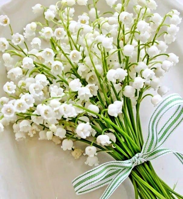 acibiber10's tweet photo. Gunaydin arkadaslar💙🌼🌿☀️ https://t.co/MxBjCdO5vl