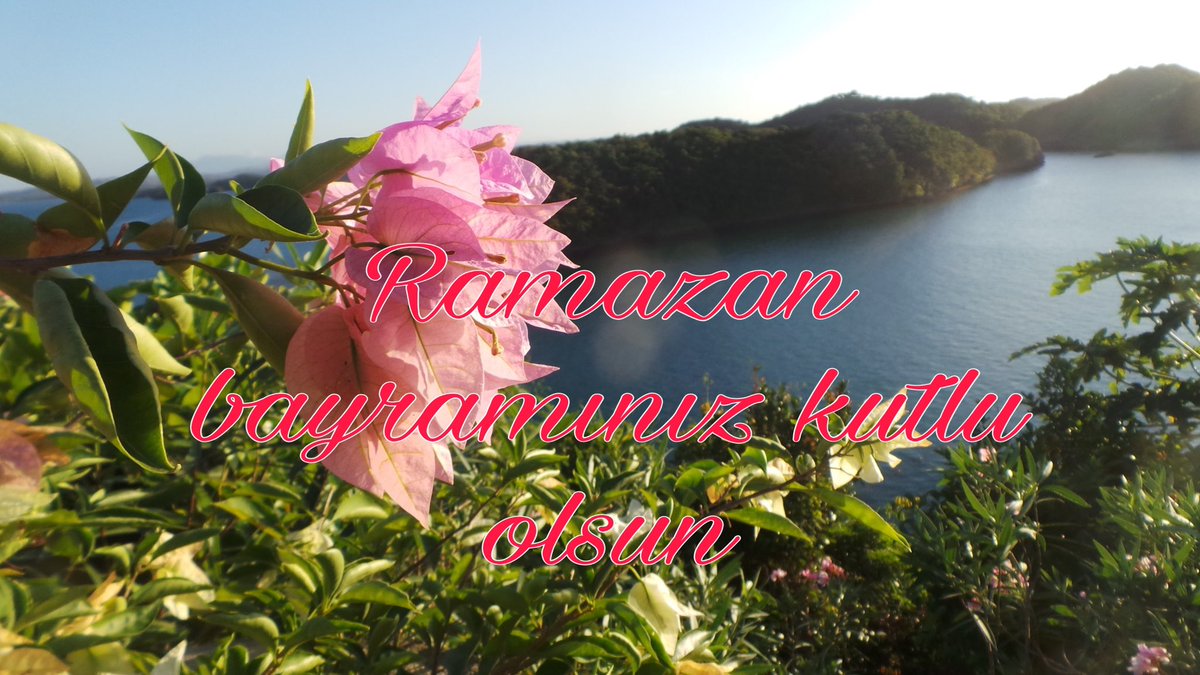 Kaya Yalçın (@yalcin2008) on Twitter photo 