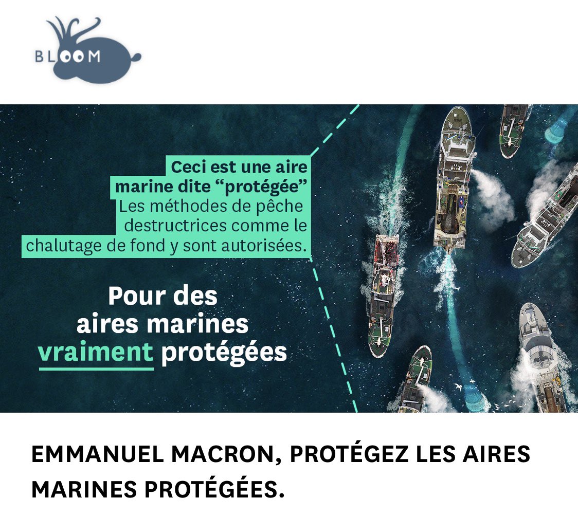 19/19 : pour nous aider dans notre combat, merci de RT ce thread et merci de signer cette pétition adressée à <a href="/EmmanuelMacron/">Emmanuel Macron</a> 👇 

protectmpa.bloomassociation.org