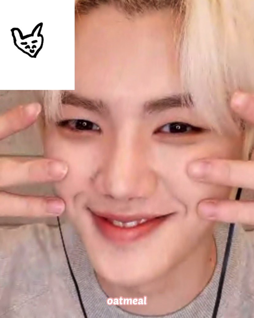 고양이 수염 포즈 알려주고 왔뜹니당 。(=╹ᴥ╹=) #민희