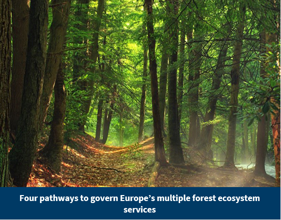 ForestValue2's tweet photo. These findings are based on research and innovation action carried out during the four-and-a-half-year project, along with insights from the #ForestValue JC2017 project #NOBEL https://t.co/PVPPwXNYx6 and the H2020 project CLEARING HOUSE. https://t.co/SJJg19mpDv