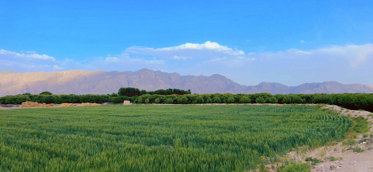 Hometown Dasht Pingove @GoBalochistan @discoverbaloch @zobaida_jalal