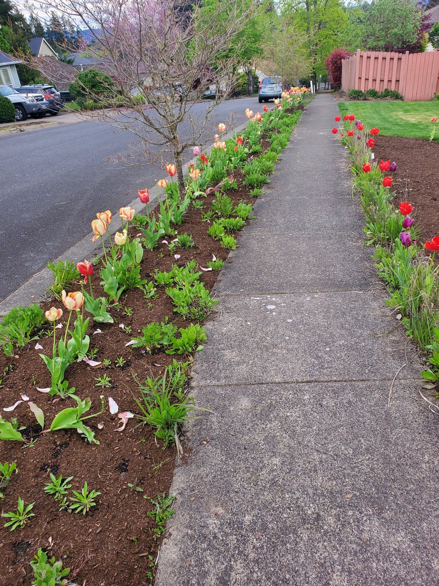 It's the little things that brighten the day.✨️