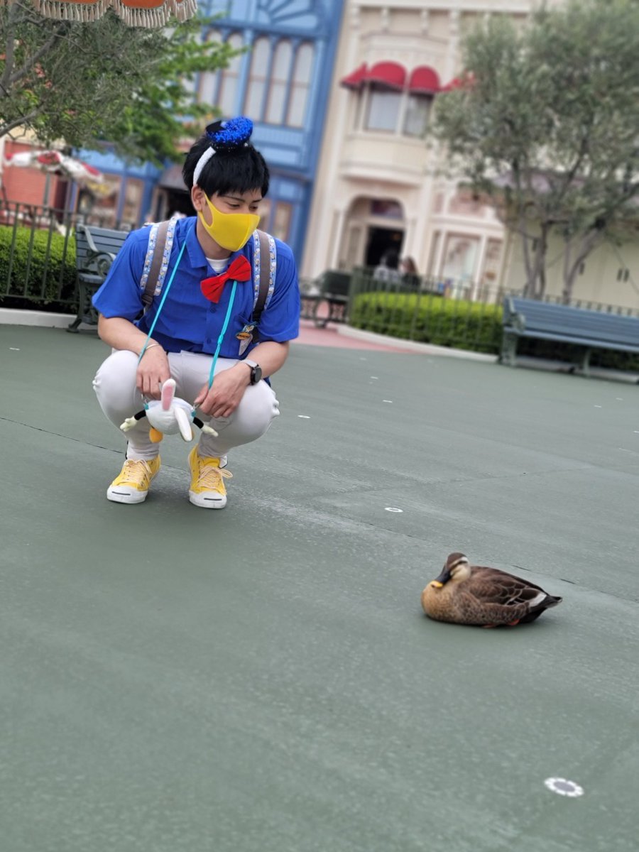 Ryu Donald Duck Dオタさんと繋がりたい ドナルドダック ドナルド ドナオタ ディズニー 年パスは持っていませんが大好きなドナルドくんに会いに年に6回ぐらい陸 海 にｉｎします ドナルドコーデしてドナちゃんを撮りまくって