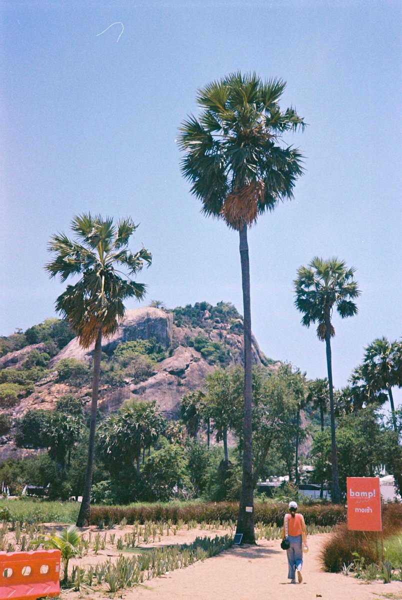 afilmme's tweet photo. ซัมเมอร์แบบเหงื่อแตก 
Kodak Pro Image 100
Konica C35 https://t.co/GX4E2udUM8