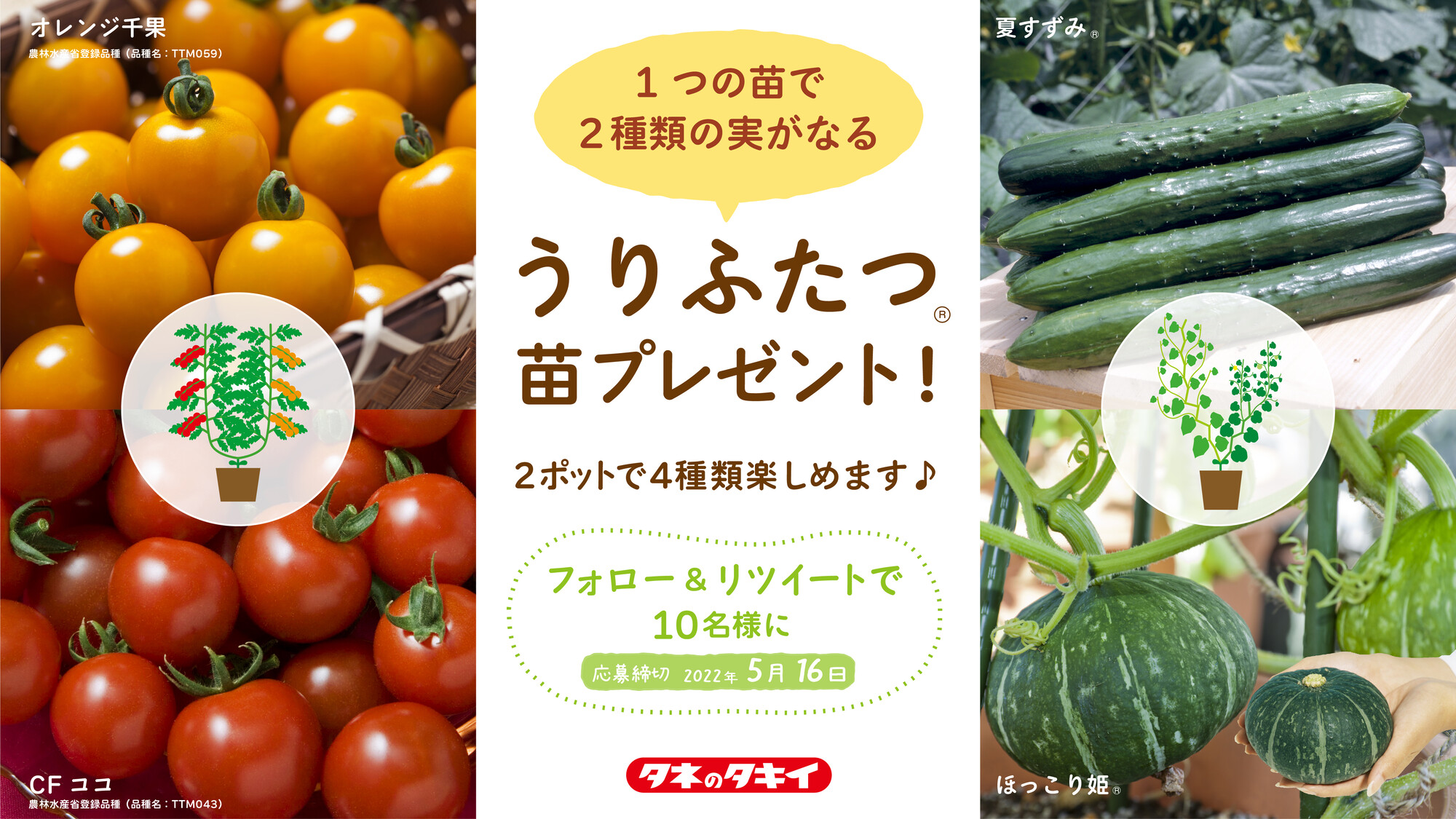 公式 タキイ種苗株式会社 タネのタキイ キャンペーン 家庭菜園シーズン到来 1つの苗で2種類の実がなる うりふたつ苗 を2ポット 10名様にプレゼント 応募条件 Takiiseed 15 をフォロー この投稿をリツイート 応募締切