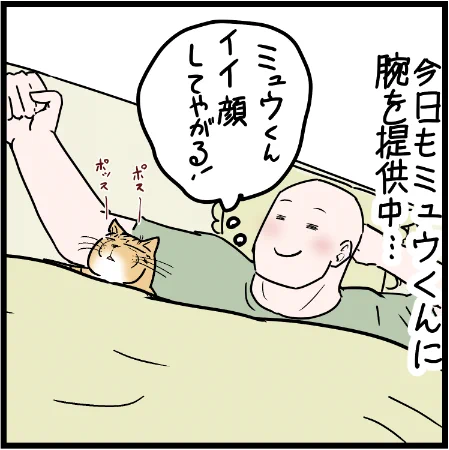 やつらの出現タイミング今年は妙に早い!! #ニャンコ #まんが #猫 #猫あるある #猫漫画 #ペット #飼い主 #エッセイ漫画 #キャット #ねこのいる生活 #4コマ 