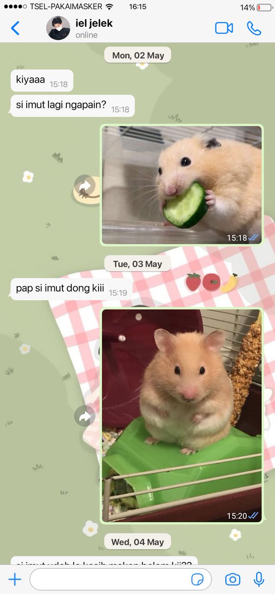 eunoiasaya's tweet photo. Hamster Jadi-jadian

Jisung Jaemin few tweets au https://t.co/TiowMK7vzJ